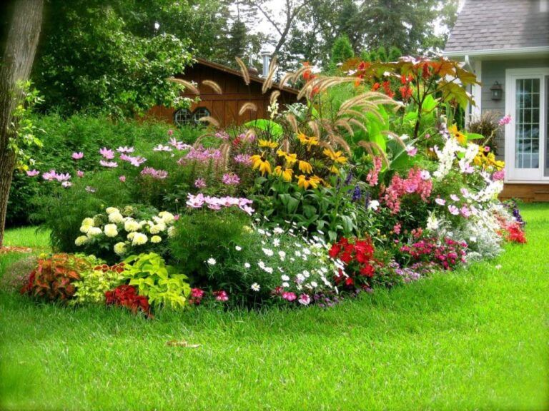 ¿Cómo mantener correctamente su jardín?