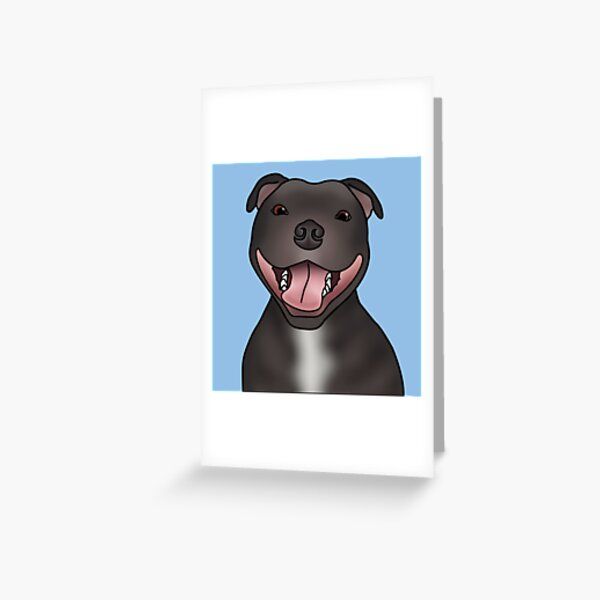 La tarjeta de identidad del Staffy azul o Staffordshire Bull Terrier azul