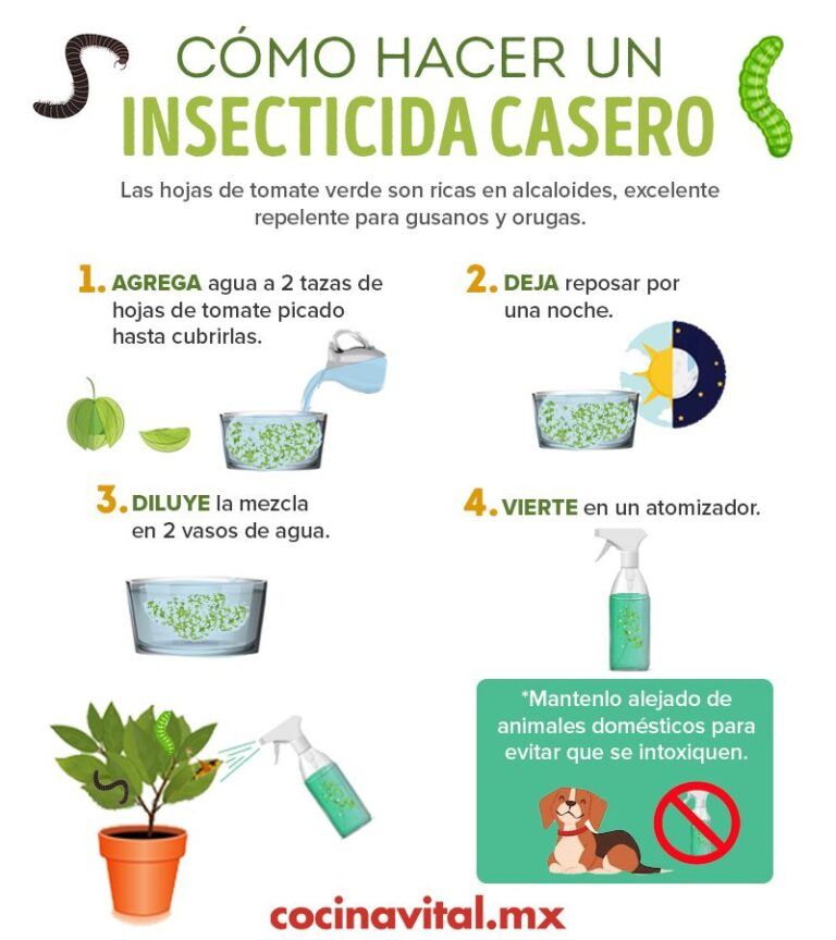 ¿Cómo hacer tú mismo un insecticida natural?