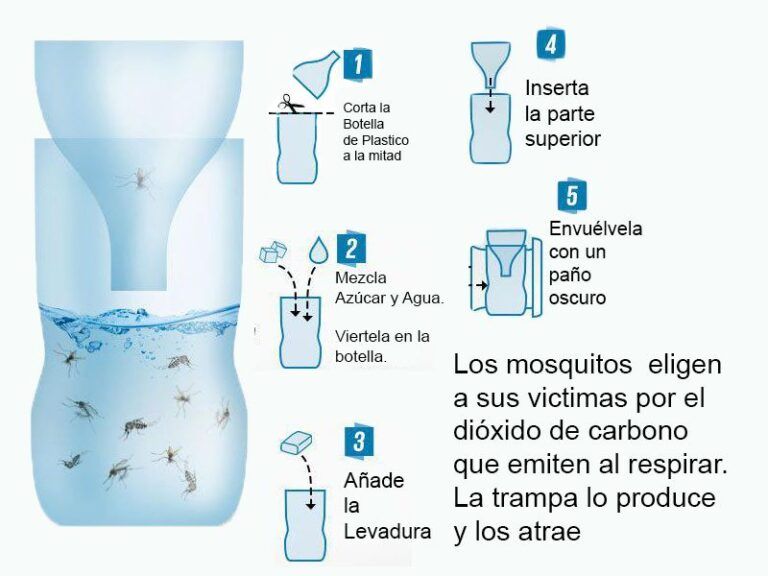 Cómo hacer una trampa casera para mosquitos