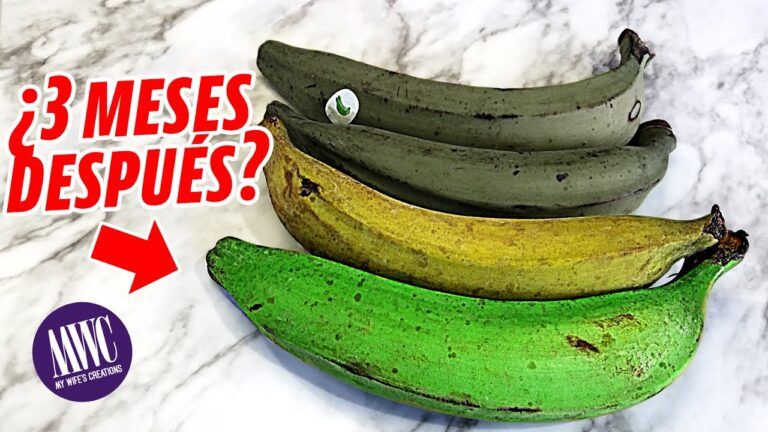 Nuestros consejos para mantener los plátanos más tiempo