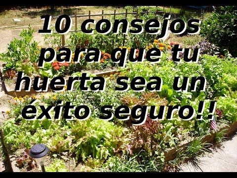 10 consejos para sembrar con éxito