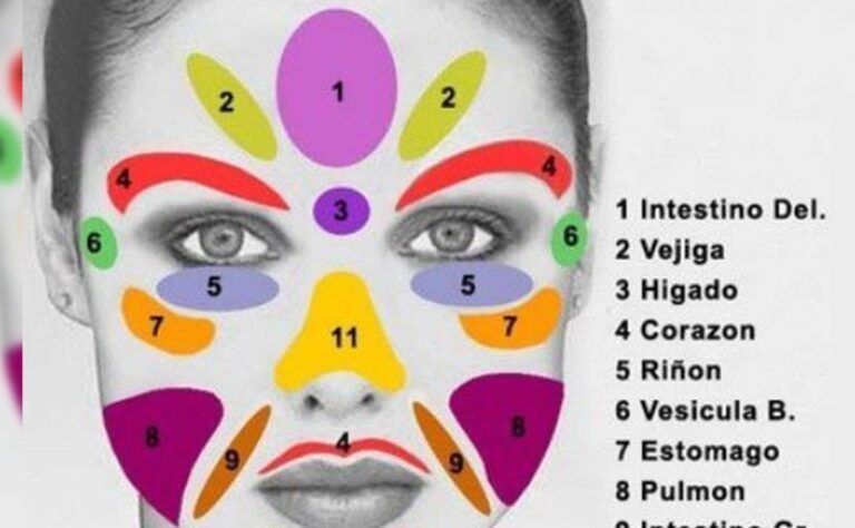 Cartografía facial: entender de dónde provienen los granos de la cara